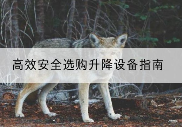 大箐山升降货梯厂家推荐-*安全选购升降设备指南
