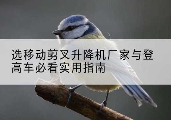 大箐山电动升降机厂家-选移动剪叉升降机厂家与登高车必看实用指南