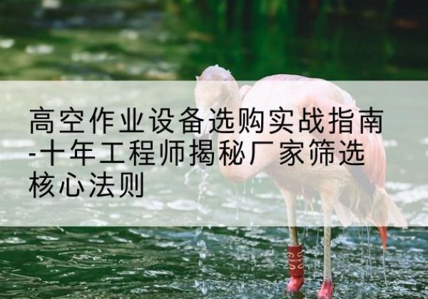 大箐山剪叉式升降机厂家-高空作业设备选购实战指南-十年工程师揭秘厂家筛选核心法则